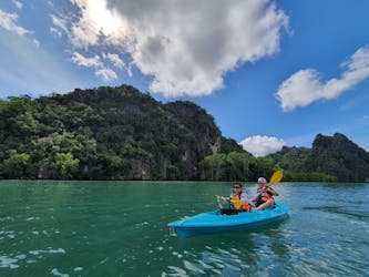Signature mangrove kayaking tour